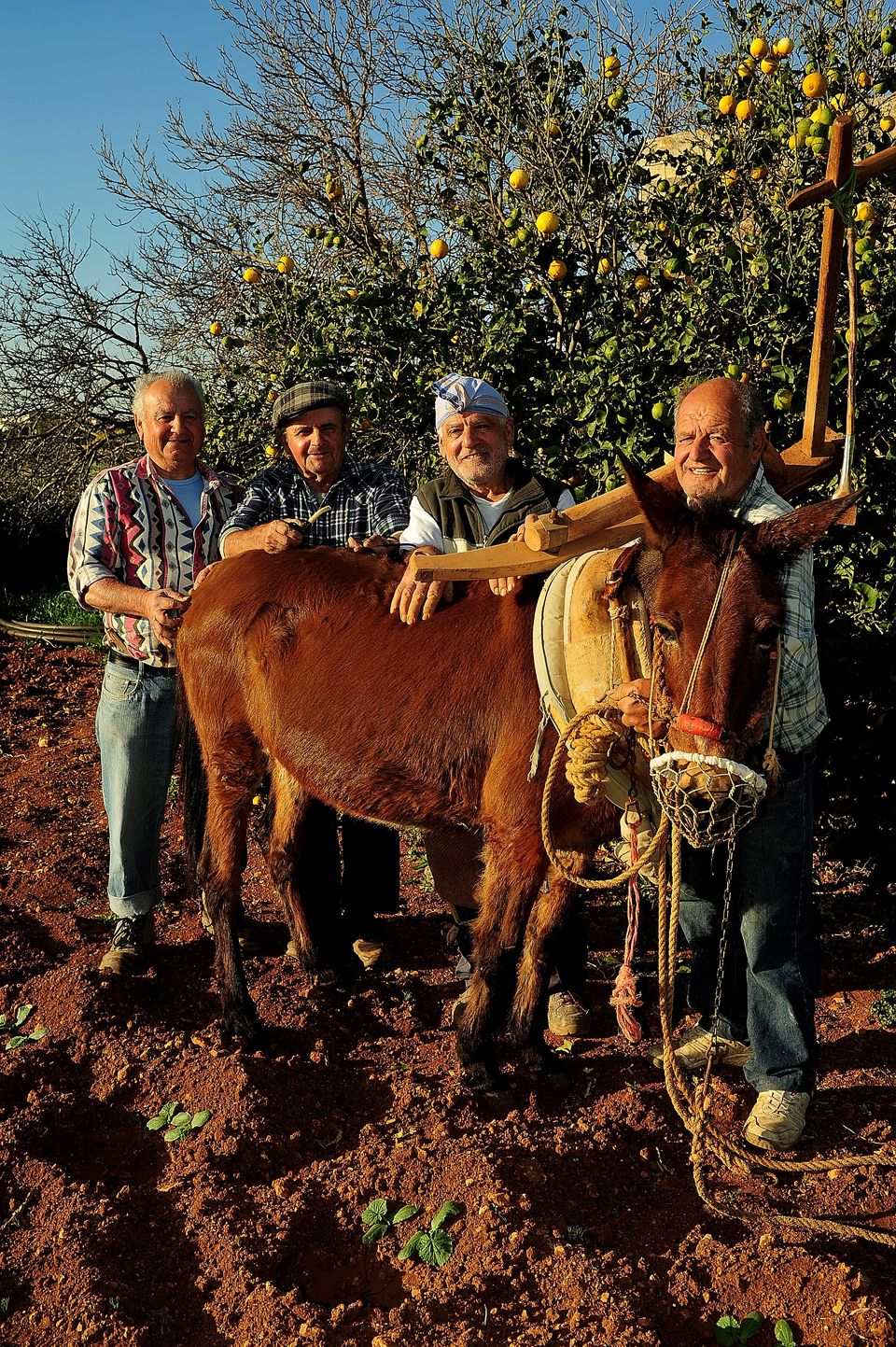 Fratelli Baja — Malta