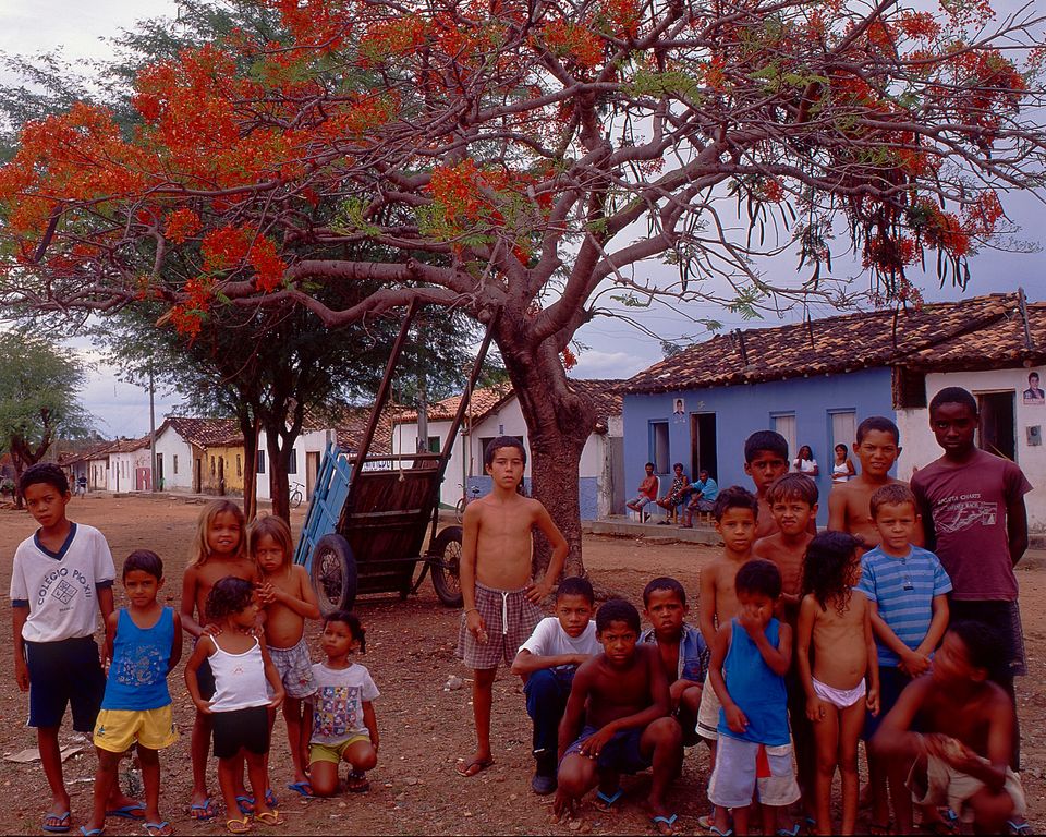 Barrerinhias — Brasile