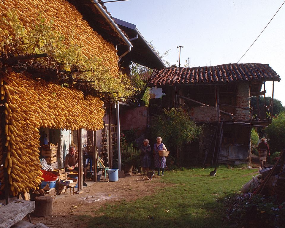 Pertusio-Cascine Aia — Piemonte