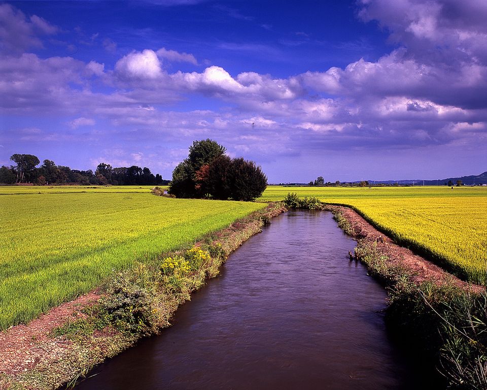Canale Fontanetto — Piemonte