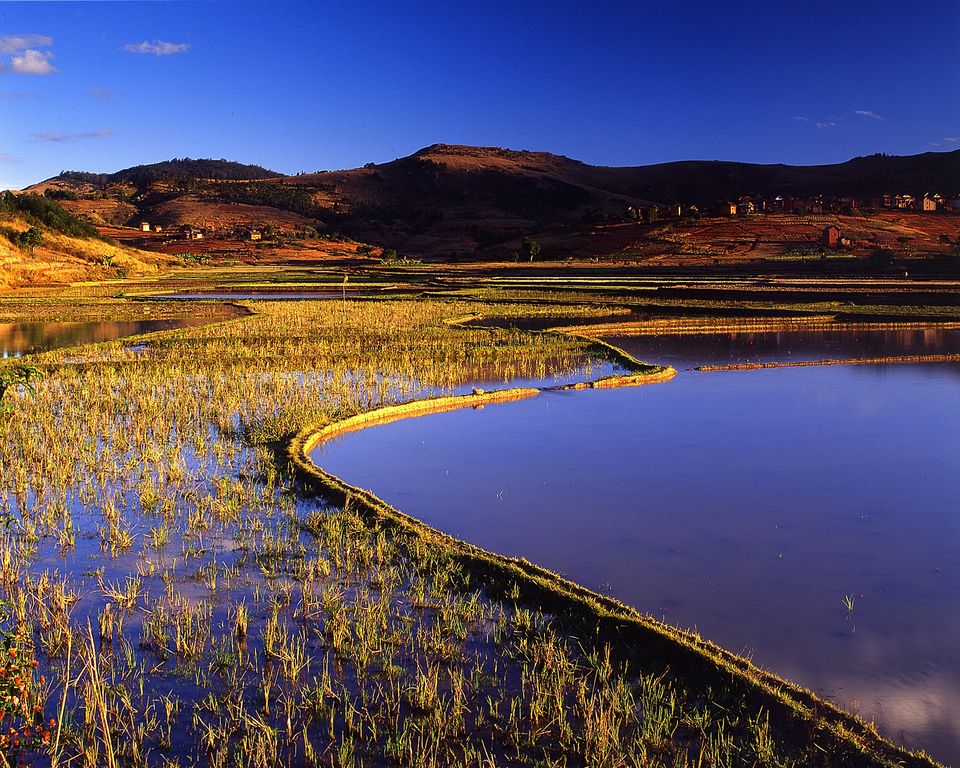 Risaie di Ambalajandra — Madagascar