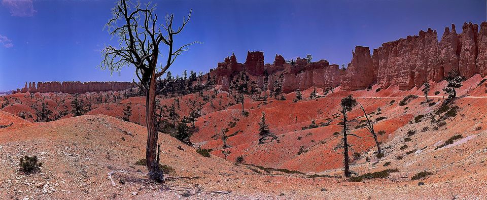 UTAH – Cambem — USA