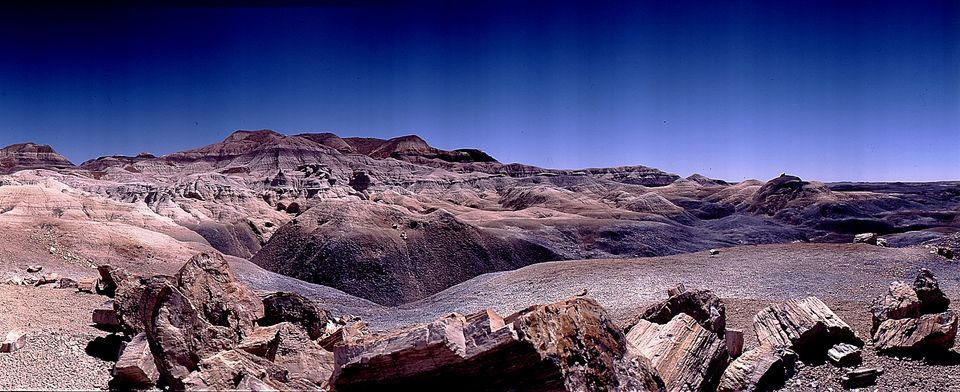 ARIZONA-Petrifield Forest N.P. — USA